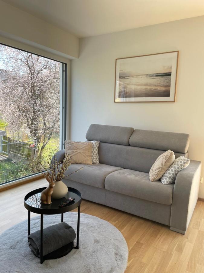 Luxury - Apartment Mit Balkon In Seenaehe غموندين المظهر الخارجي الصورة